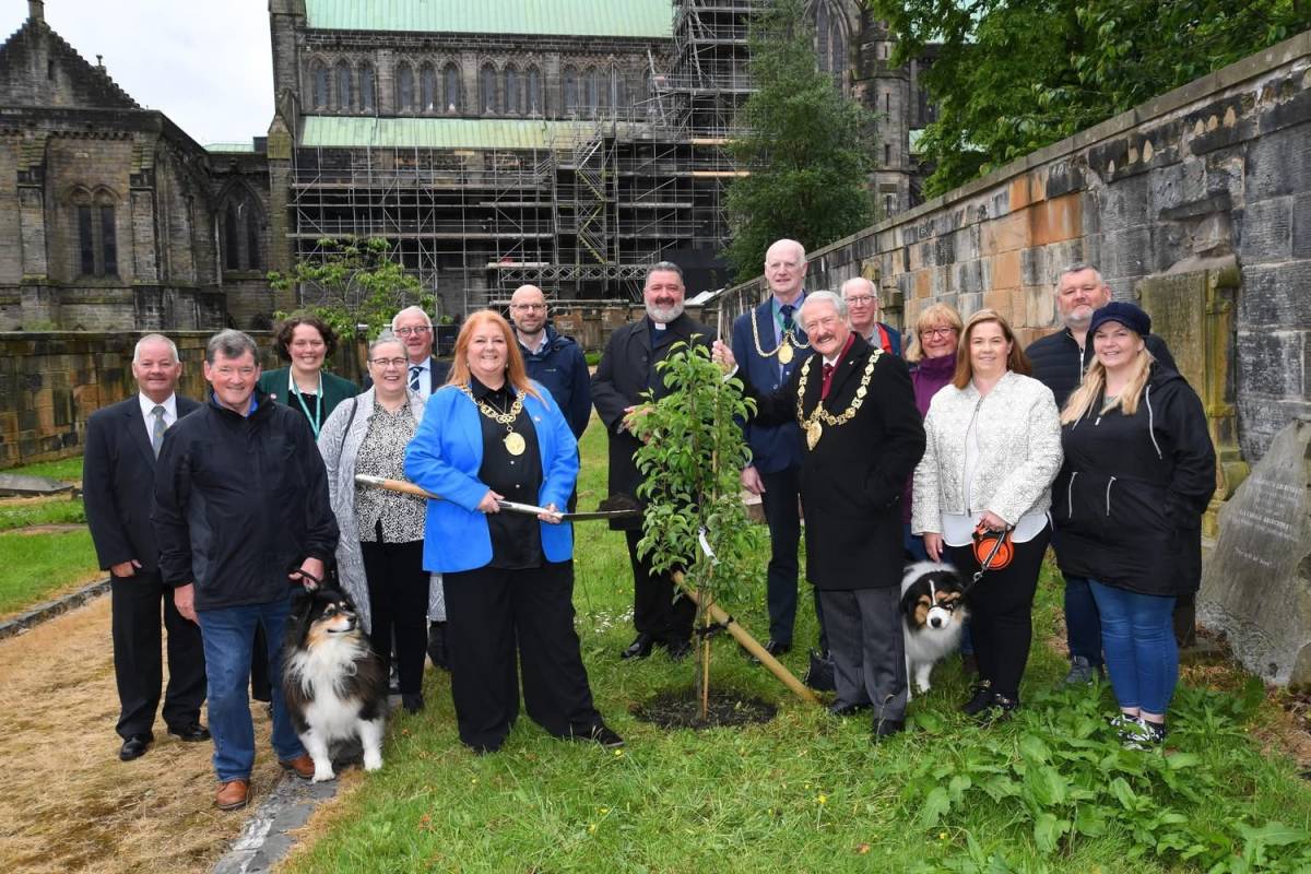 Pear Tree Planting Main Photo