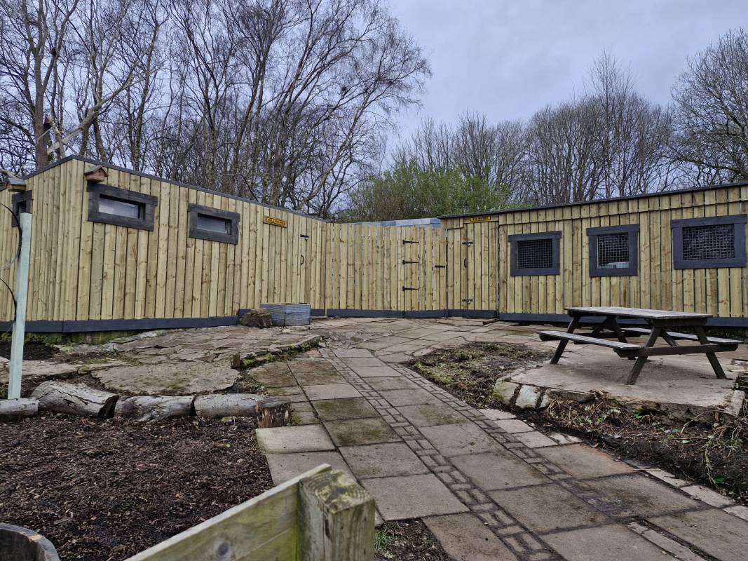 Springburn Garden Allotments grant update Main Photo